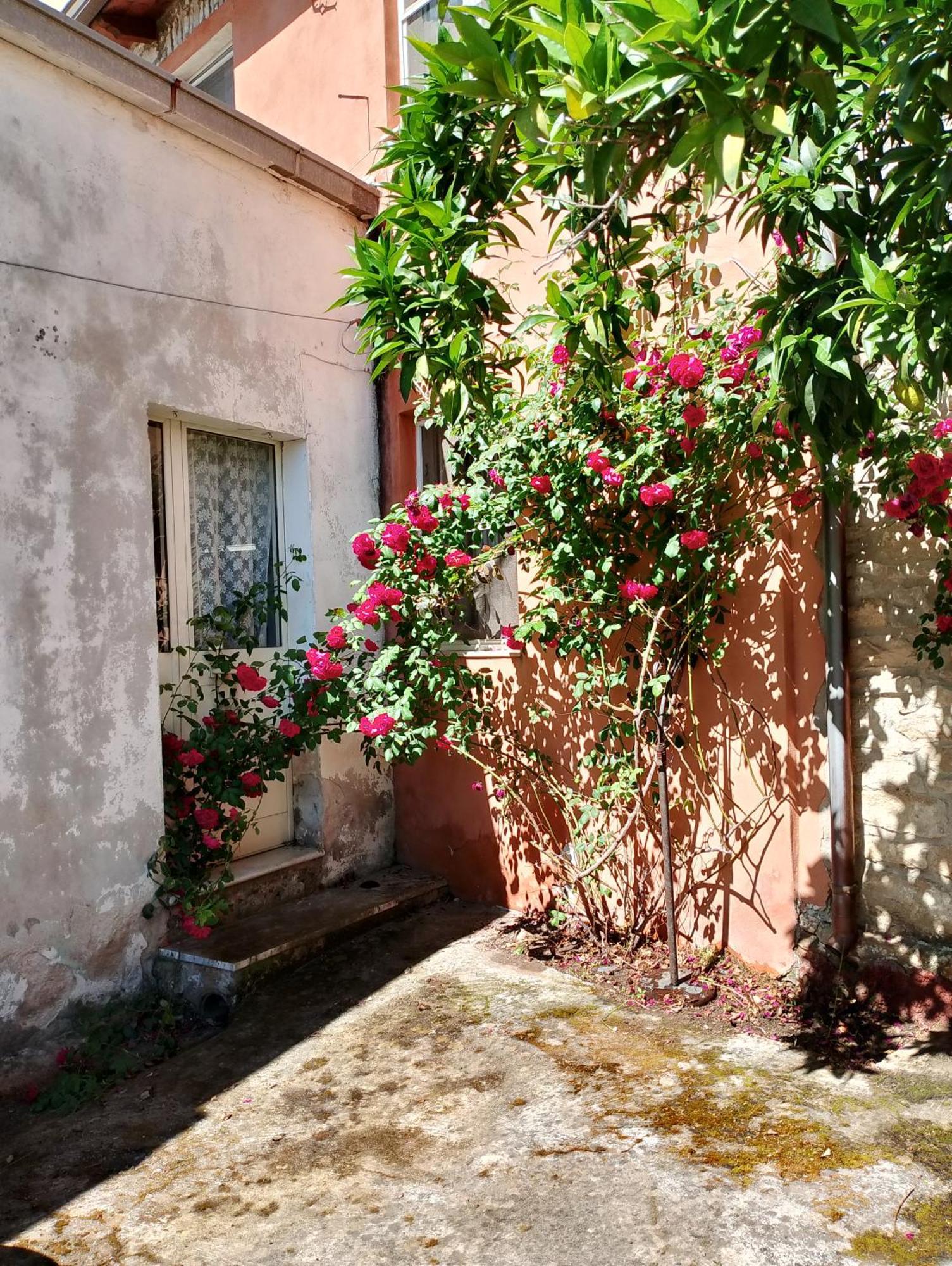 La Corte Degli Aranci Senorbi Εξωτερικό φωτογραφία